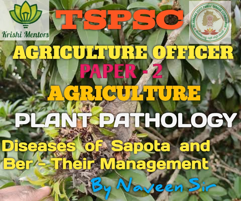 Diseases of Sapota and Ber - Their Management