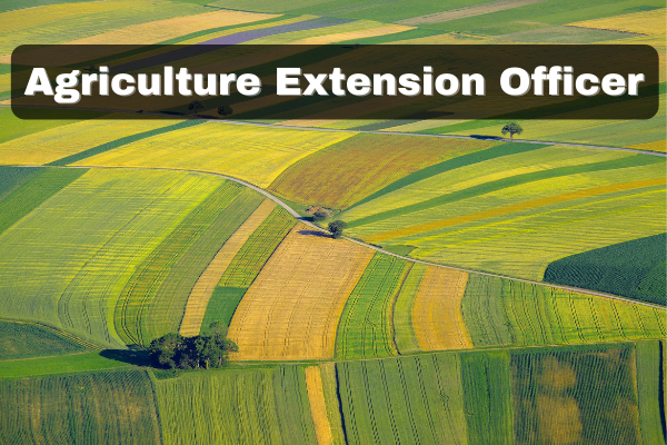 Research stations in state universities