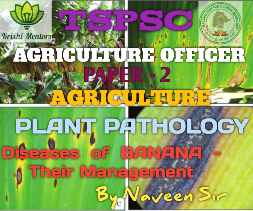 Diseases of BANANA - their Management